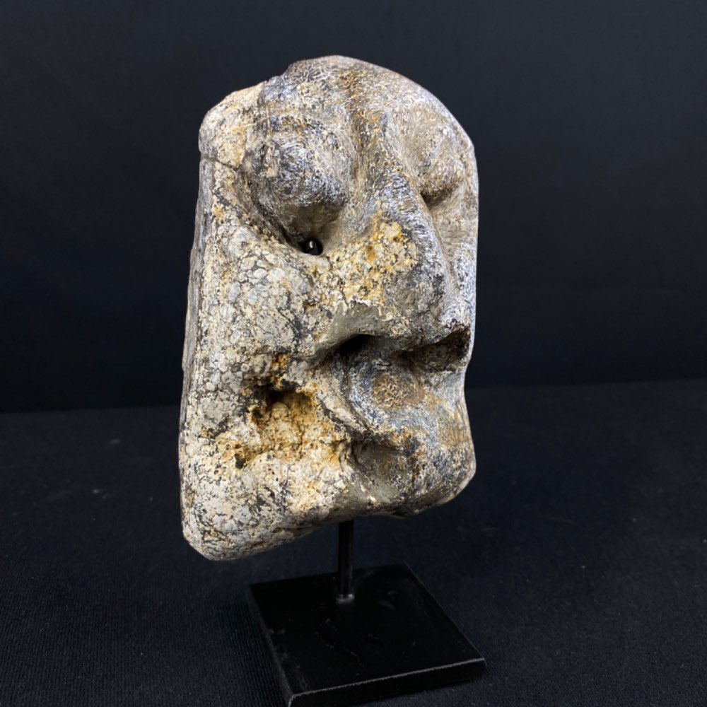 Mastodon mammoth fossilized bone with modern carving into face from Java, Indonesia